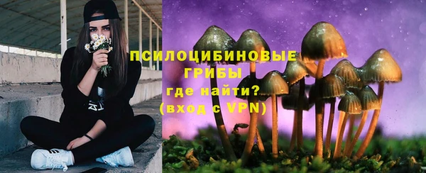 шишки Верхнеуральск